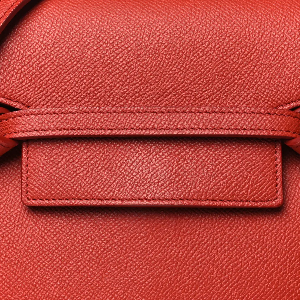 Lushentic Grade Replica Nano Belt Bag in Coquelicot Calfskin - Image 9