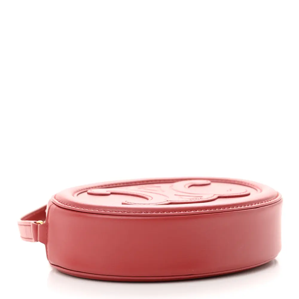 Lushentic Bags Small Cuir Triomphe Oval Purse Crossbody Review - Image 5