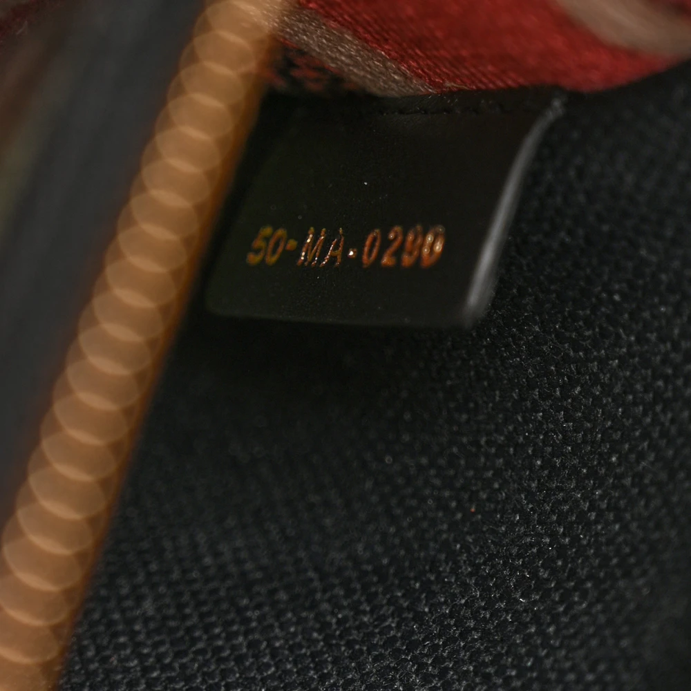 Lushentic Bags - Medium Lady D-Lite Multicolor Embroidered Canvas - Image 9