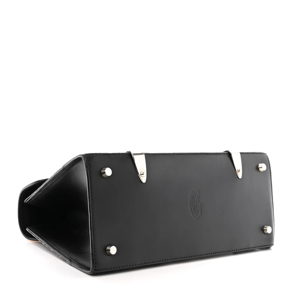 Lushentic Grade Replicas Saigon PM Black Goyardine Canvas Silver Hardware - Image 6