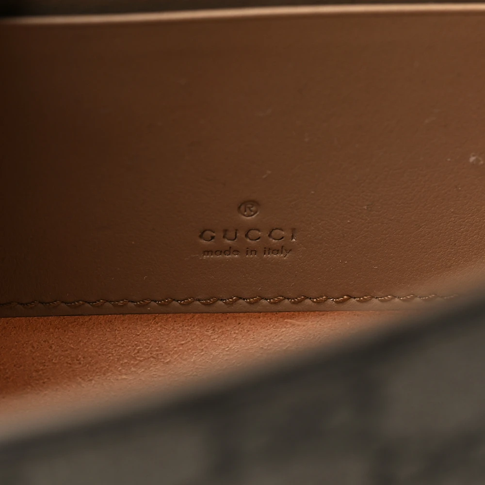 Lushentic Reviews Small Dionysus Clutch Taupe GG Supreme Monogram - Image 2