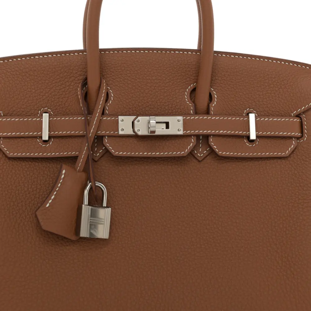 Lushentic Quality Birkin 25 Brown Togo Leather Palladium Hardware - Image 9