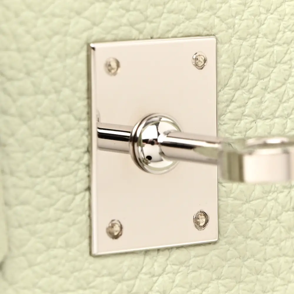 Lushentic Replica Handbags: Birkin 25 Gris Neve Togo Leather Palladium HW - Image 9