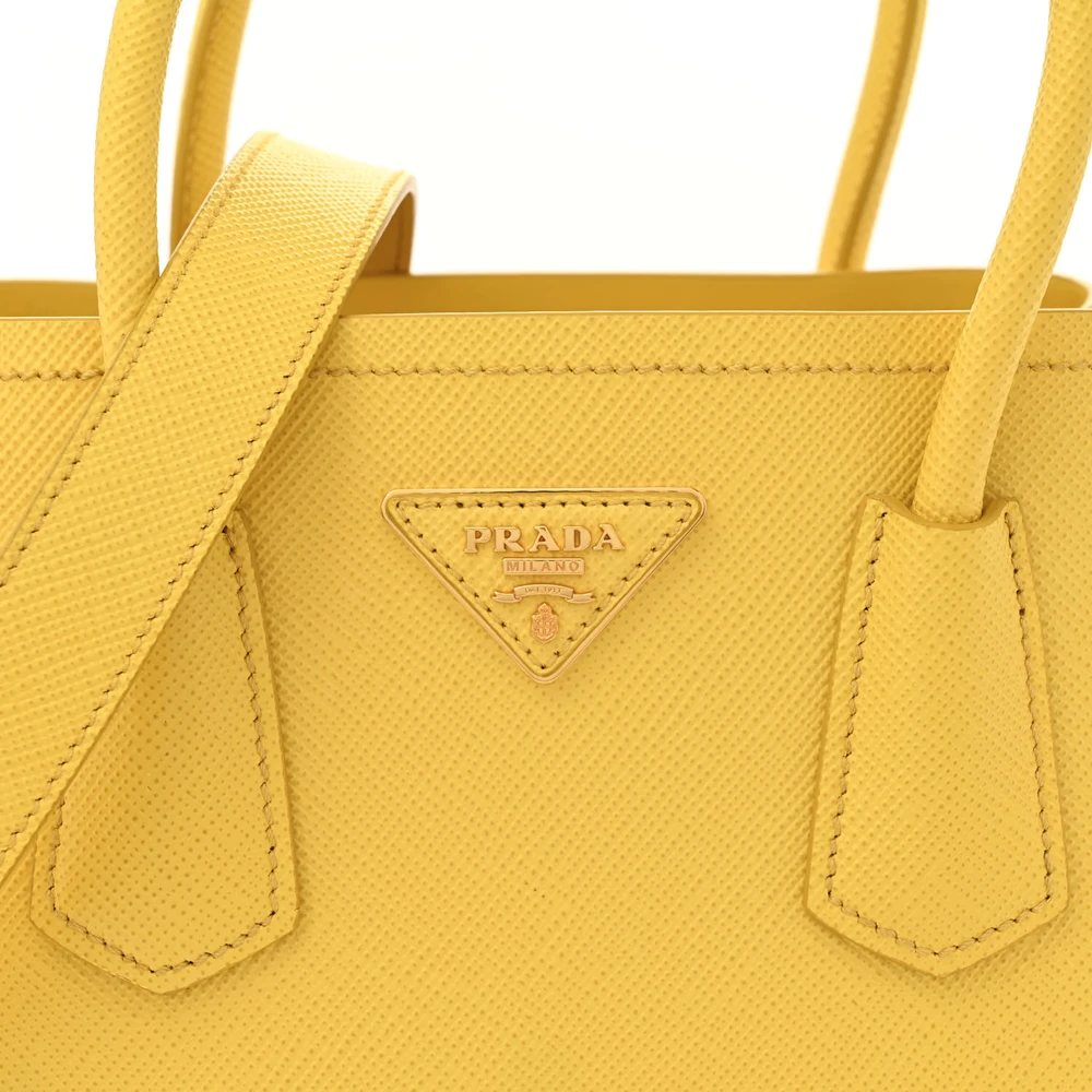 Lushentic Bags Review: Mini Double Bag in Saffiano Cuir Leather - Image 8