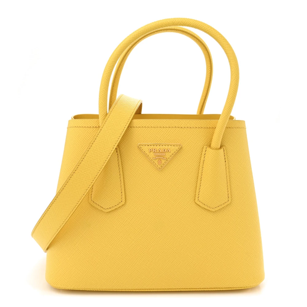 Lushentic Bags Review: Mini Double Bag in Saffiano Cuir Leather