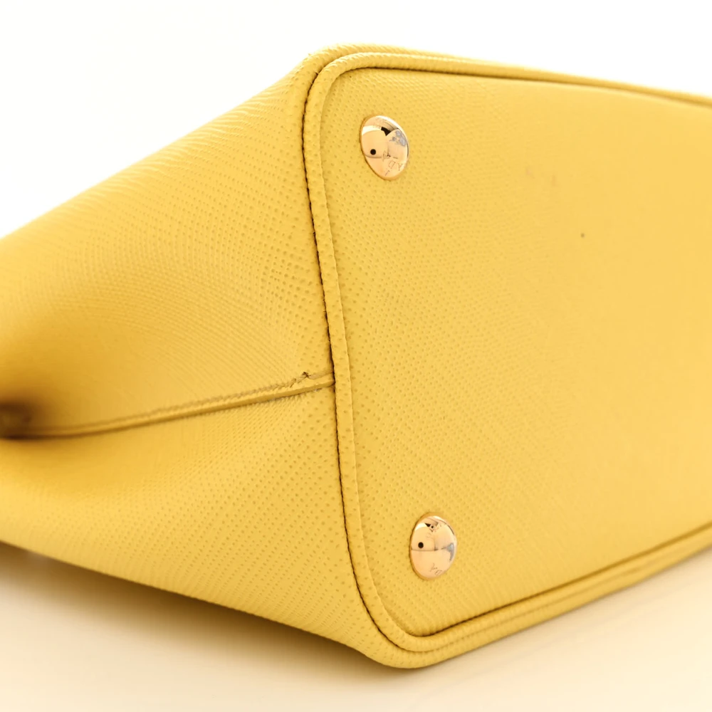 Lushentic Bags Review: Mini Double Bag in Saffiano Cuir Leather - Image 4