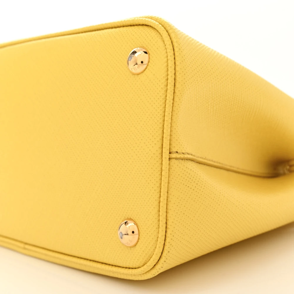 Lushentic Bags Review: Mini Double Bag in Saffiano Cuir Leather - Image 5