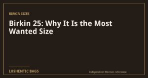 Birkin 25: Why It Is the Most Wanted Size